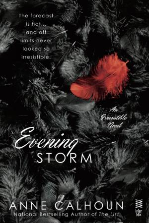Cover of the book Evening Storm by Jennifer St. Giles