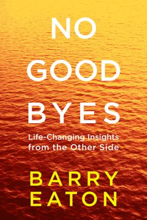 Cover of the book No Goodbyes by Niall Ferguson