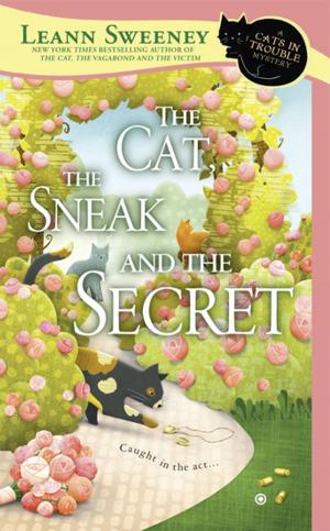 Cover of the book The Cat, the Sneak and the Secret by Emily McKay
