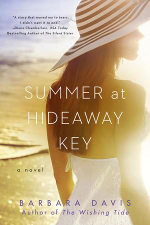 Cover of the book Summer at Hideaway Key by Lavyrle Spencer