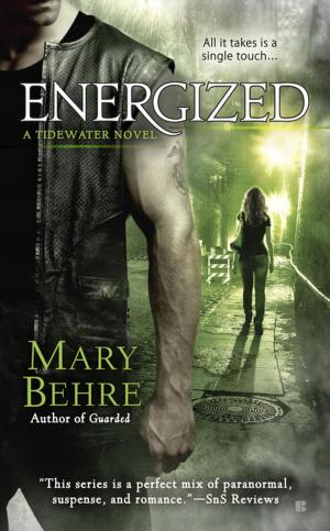 Cover of the book Energized by Richard X. Bove
