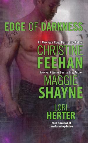 bigCover of the book Edge of Darkness by 