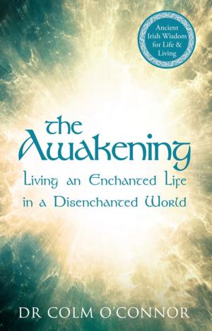 Cover of the book The Awakening by Kevin Martin