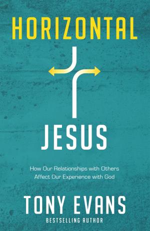 Cover of the book Horizontal Jesus by Rebecca Lutzer