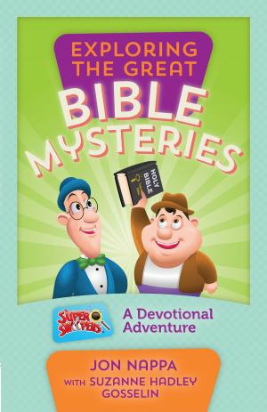 Cover of the book Exploring the Great Bible Mysteries by James Merritt