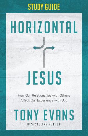 Cover of the book Horizontal Jesus Study Guide by Stan Toler