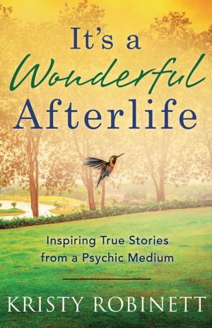 Cover of the book It's a Wonderful Afterlife by Gloria Orenstein, David B. Axelrod, David B. Axelrod, Carol F. Thomas, Lenny Schneir, Merlin Stone