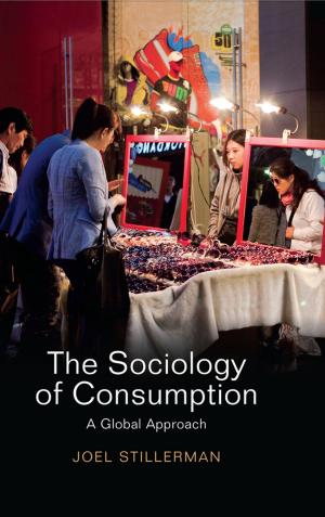 Cover of the book The Sociology of Consumption by Tobias Geyer