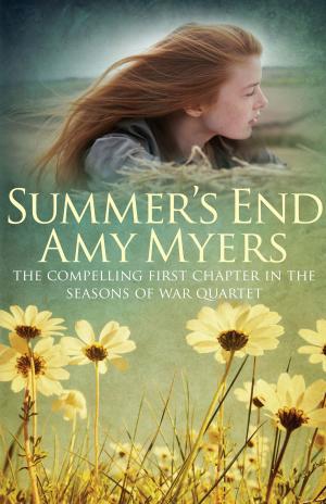 Cover of the book Summer's End by Margaret Irwin