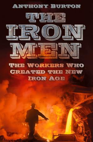 Cover of Iron Men