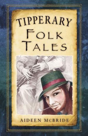 Cover of the book Tipperary Folk Tales by Mike Brown