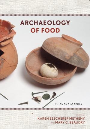 Cover of the book Archaeology of Food by Diana Tietjens Meyers