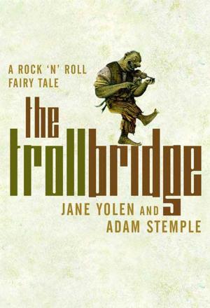 Cover of the book Troll Bridge by Ed Greenwood