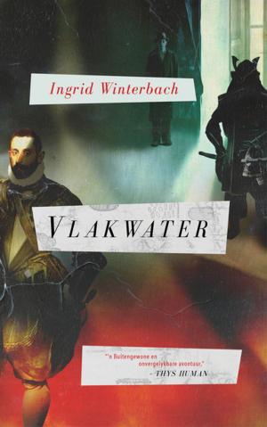 Cover of the book Vlakwater by Chris Karsten