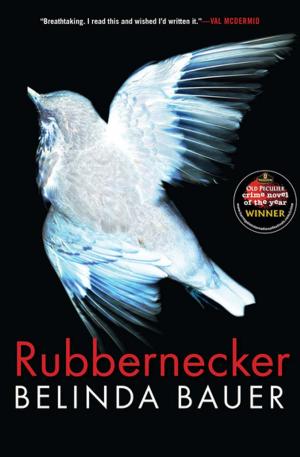 Cover of the book Rubbernecker by Leif Enger
