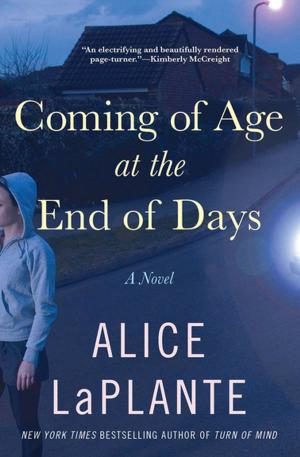 Cover of the book Coming of Age at the End of Days by Joan Halifax