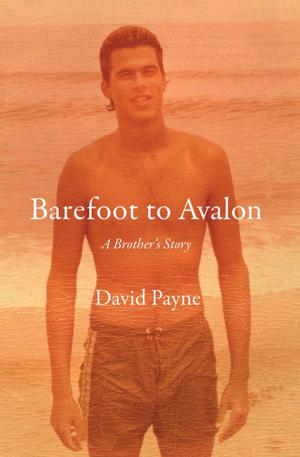 Cover of the book Barefoot to Avalon by Nick Rennison