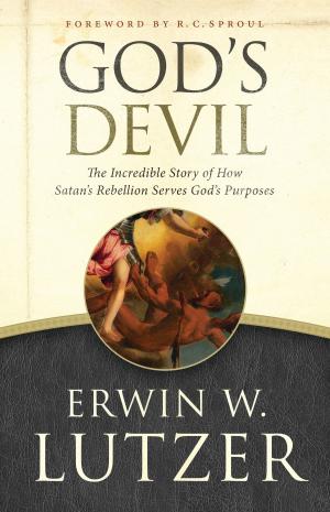 Cover of the book God's Devil by Patrick Morley, David Delk, Brett Clemmer