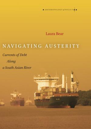 Cover of the book Navigating Austerity by Ted Underwood