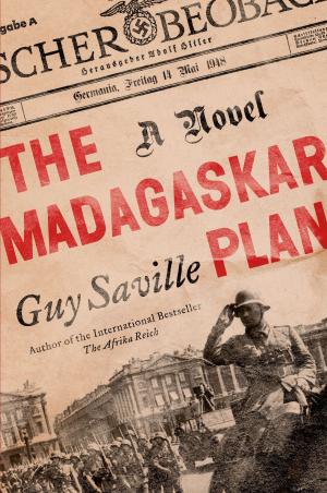Cover of the book The Madagaskar Plan by Lorna Jackie Wilson