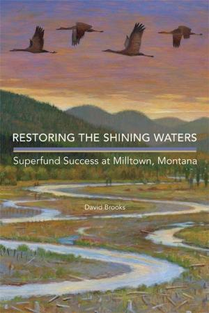 Cover of the book Restoring the Shining Waters by Brian Steel Wills, Ph.D.