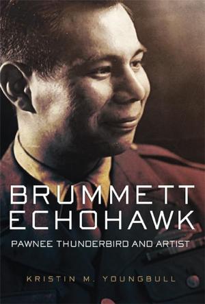 Cover of the book Brummett Echohawk by Verity McInnis
