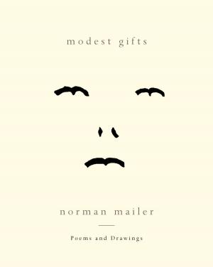 Cover of the book Modest Gifts by M. K. Hobson