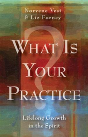 Cover of the book What Is Your Practice? by Barbara Dee Baumgarten