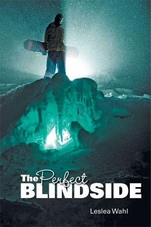 Cover of the book The Perfect Blindside by John Paul II, Michael Waldstein