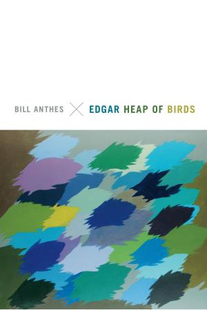Cover of the book Edgar Heap of Birds by Leslie Holmes