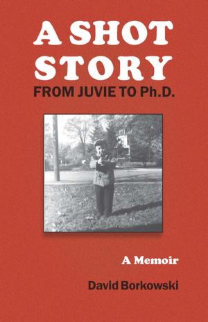 Book cover of A Shot Story