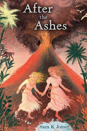 Cover of the book After the Ashes by David McPhail