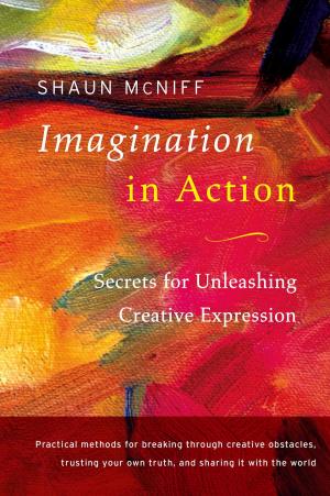 Book cover of Imagination in Action