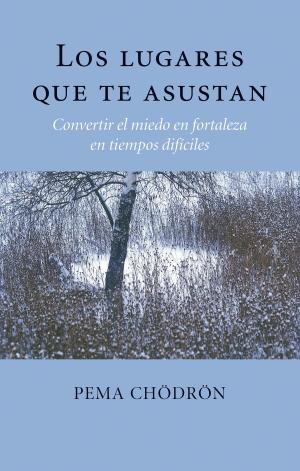 Book cover of Los lugares que te asustan (The Places That Scare You)