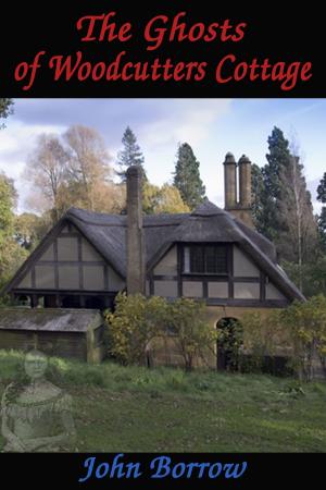 Cover of the book The Ghosts of Woodcutters Cottage by Edmund de Wight