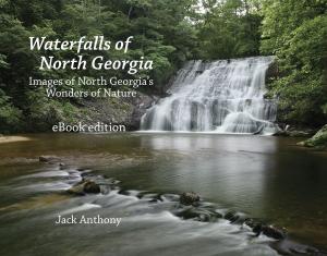 bigCover of the book Waterfalls of North Georgia by 