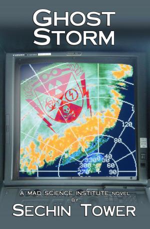Cover of the book Ghost Storm by Cait Ashwood