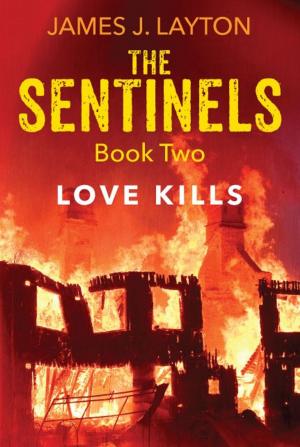 Cover of the book The Sentinels Book Two by David Domon, Isabella Zumas
