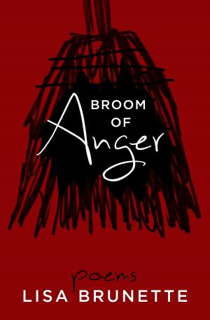Cover of the book Broom of Anger by J J Ginty