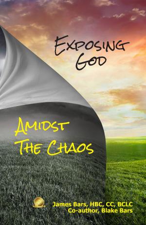 Cover of the book Exposing God Amidst the Chaos by Andy Byrd, Sean Feucht, Aaron Walsh, Andrew York, Caleb Klinge, Corey Russell, David Fritch, Eric Johnson, Faytene Grasseschi, Morgan Perry, Roger Joyner
