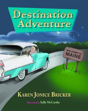 Cover of the book Destination Adventure by Donna LeBlanc