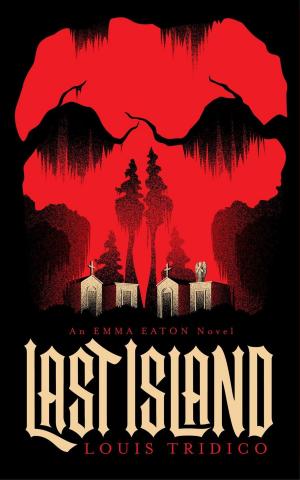 Cover of the book Last Island by JL Bryan