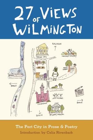 Cover of the book 27 Views of Wilmington by James A. Patrick