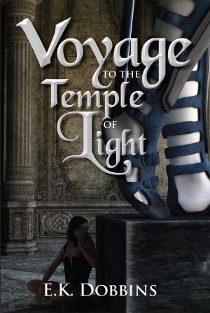 Cover of the book Voyage to the Temple of Light: Book One of the Sorceress of Selvast Forest Series by David McGuigan