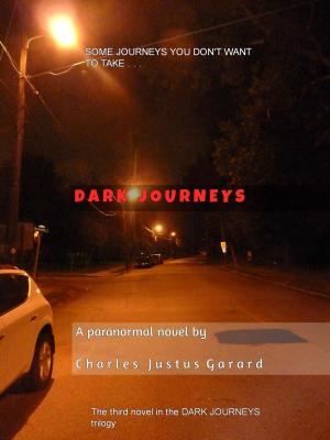 Book cover of Dark Journeys