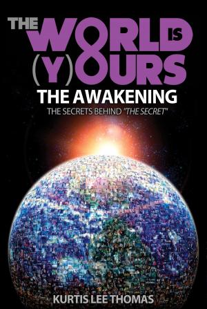 Book cover of The World is Yours - The Awakening