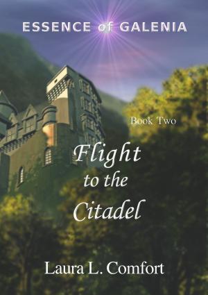 Book cover of Flight to the Citadel