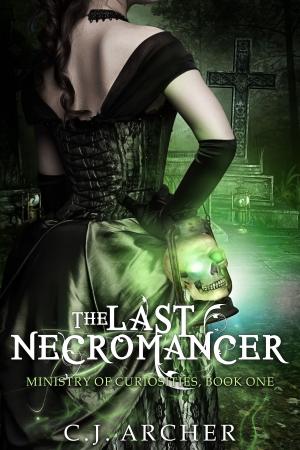 Book cover of The Last Necromancer