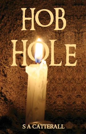 Cover of the book Hob Hole by Jason Nickels