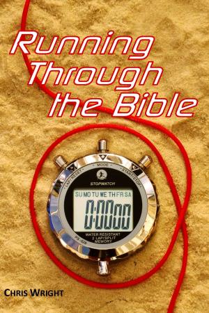 Book cover of Running Through the Bible